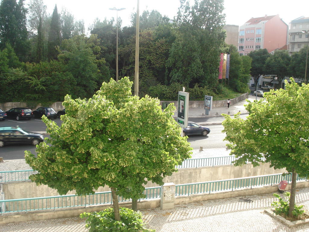 Center Garden Luxury Apartment Lissabon Zimmer foto